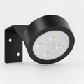 Battery Picture & Art Display Light with Remote