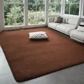 Soft Grey Coral Velvet Rug