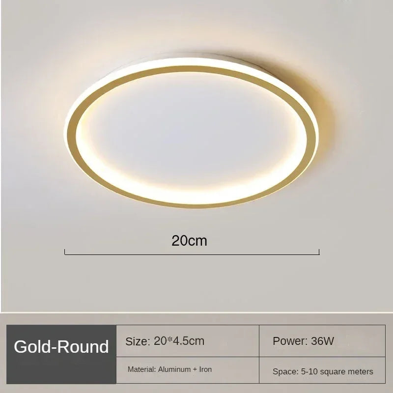 Nordic Circular LED Ceiling Light