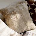 French Velvet Cushion Cover