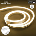 USB Dimmable Neon Strip Light