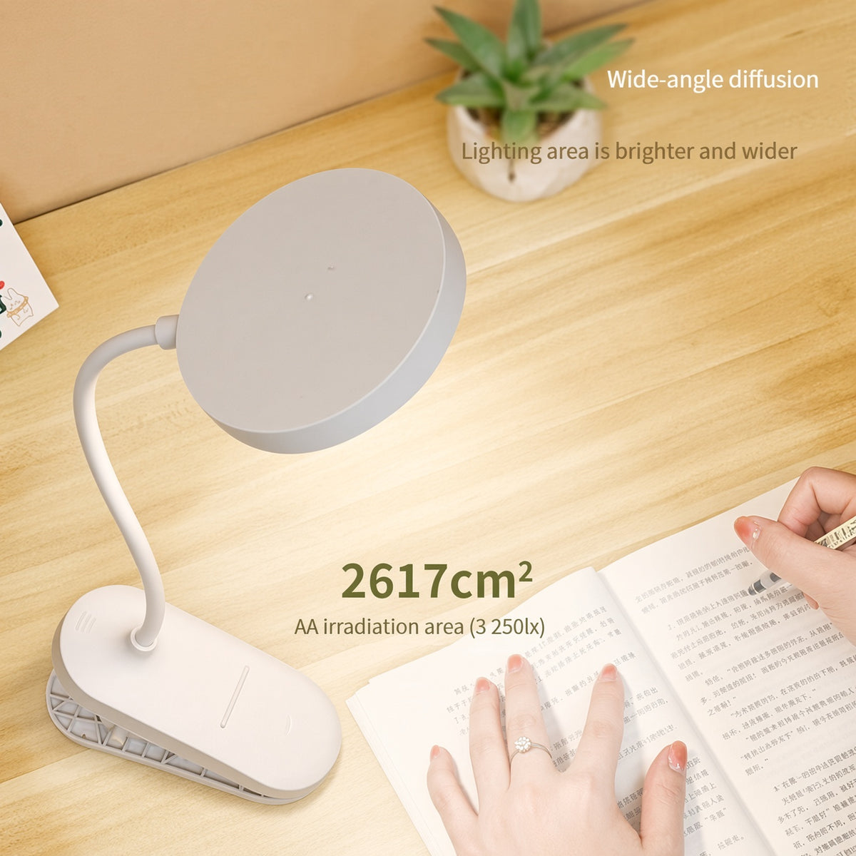 Clip-On Rechargeable Desk Lamp