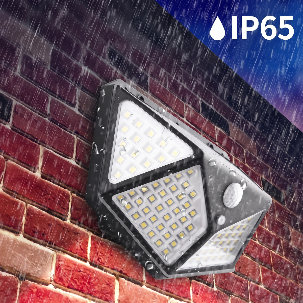 Solar Motion Sensor Garden Light