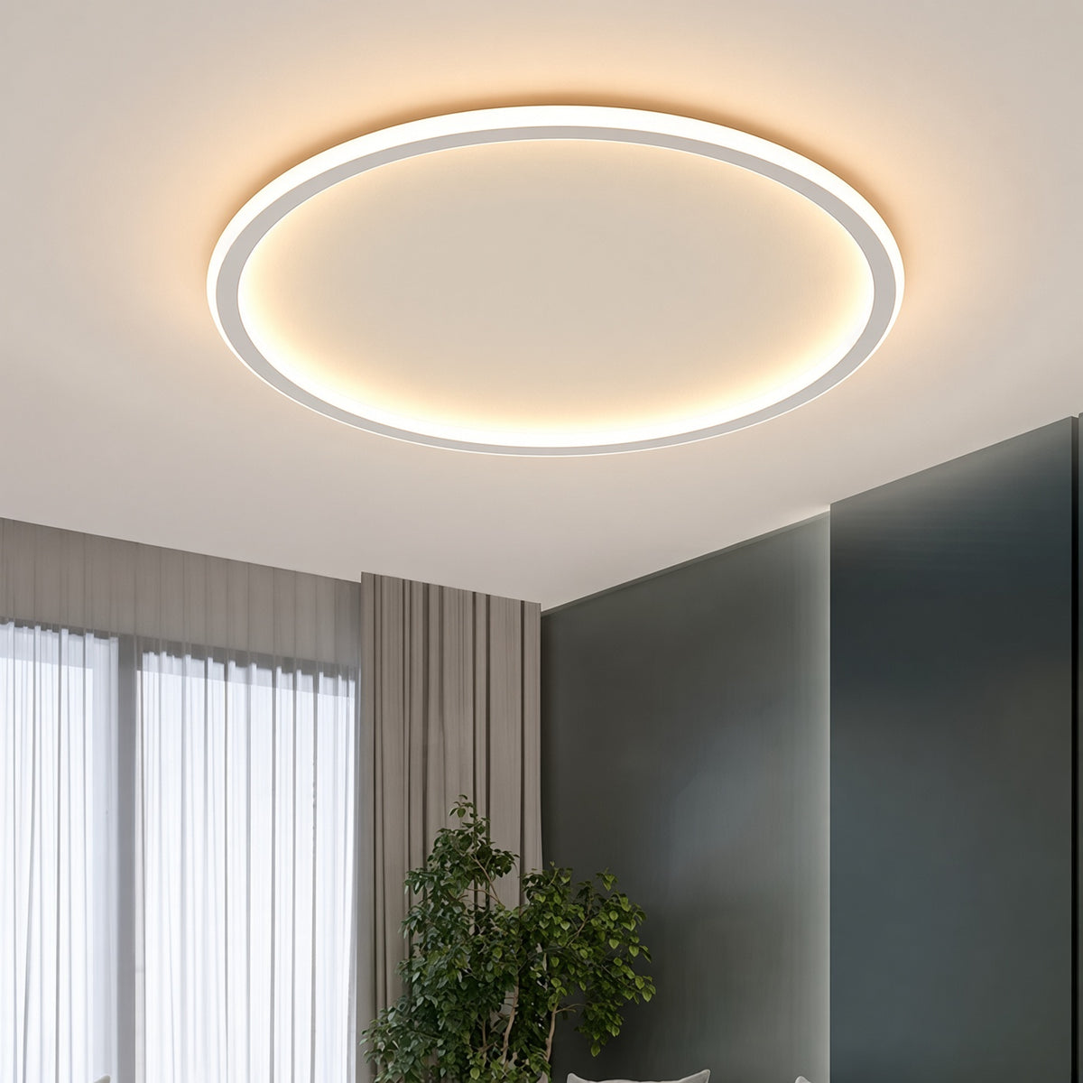 Nordic Circular LED Ceiling Light
